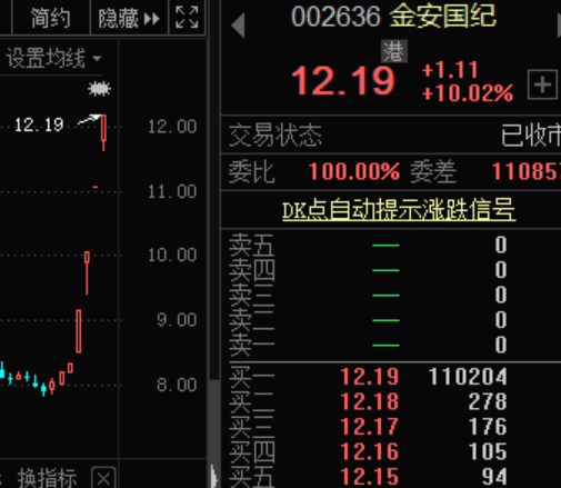 金安国纪.png