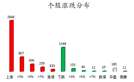个股涨跌分布.png