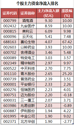 个股主力资金净流入排名.png