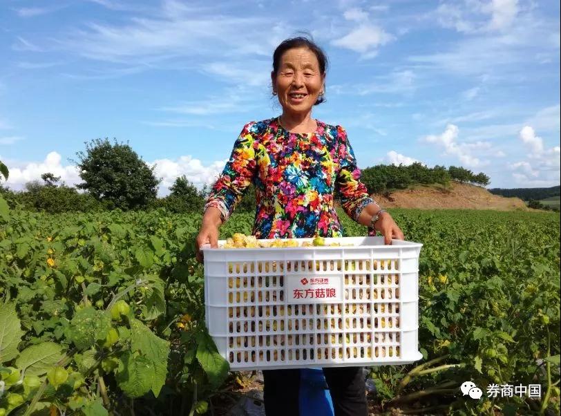 微信图片_20180816174710