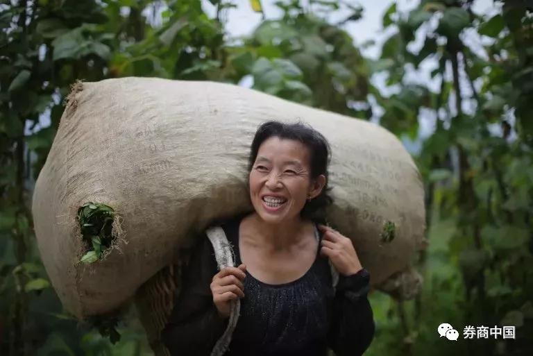 微信图片_20180822175928