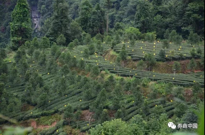 微信图片_20180822175940